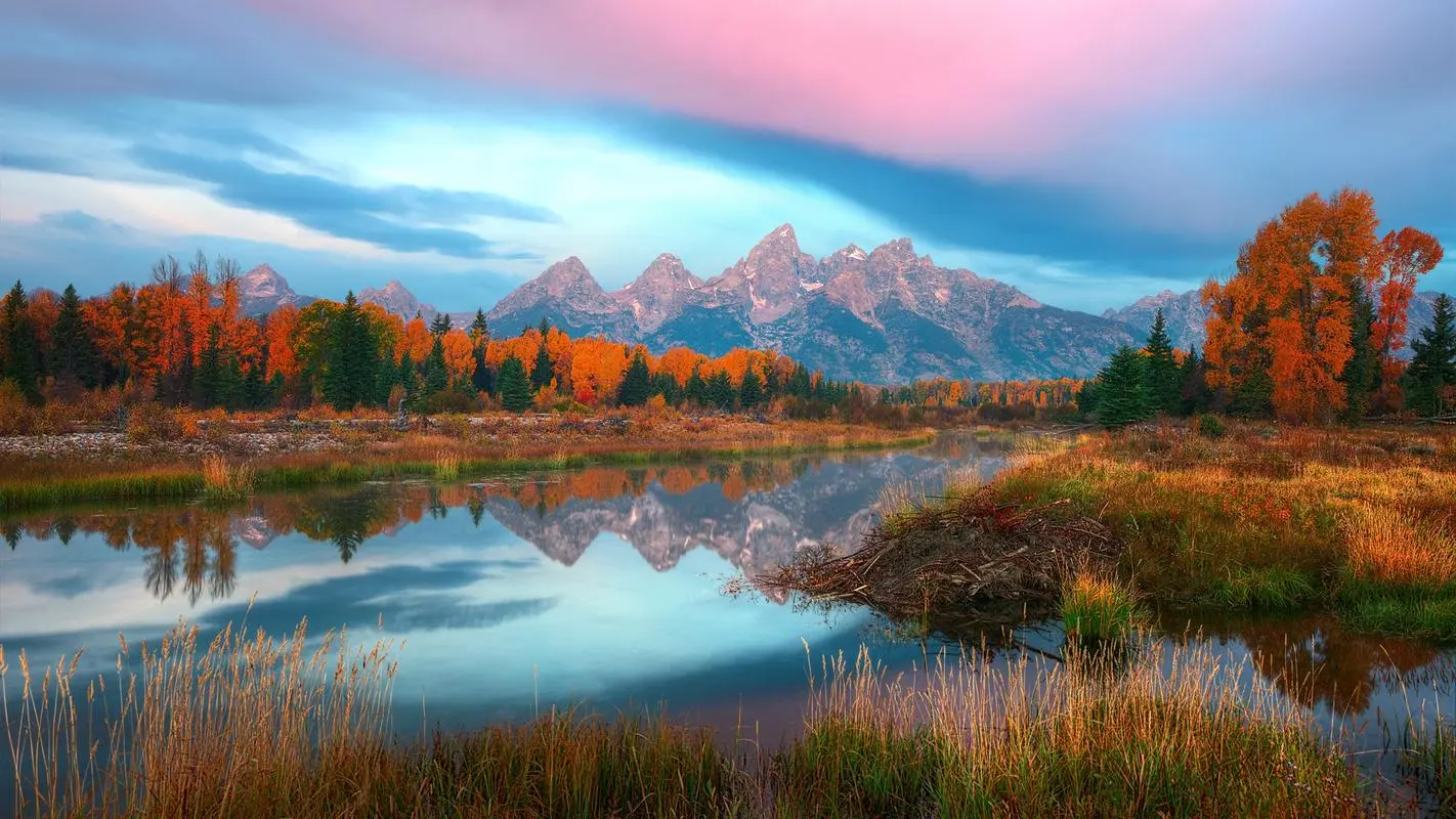 智能全自动高精度